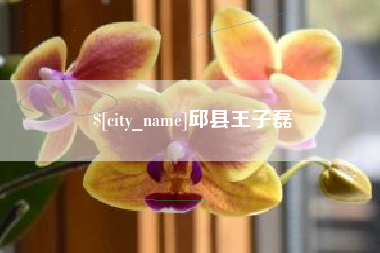惠州邱县王子磊