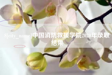 惠州中国消防救援学院2020年录取结果