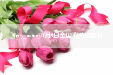 惠州11月9日全国消防日图片
