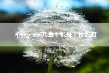 惠州九金十银是干什么的