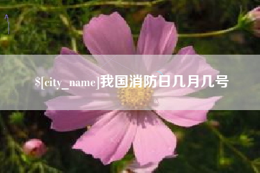 惠州我国消防日几月几号