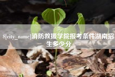 惠州消防救援学院报考条件湖南招生多少分