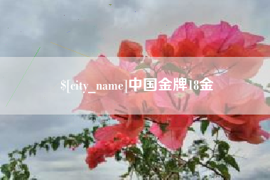 惠州中国金牌18金