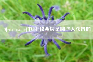 惠州中国6枚金牌是哪些人获得的