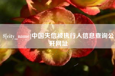 惠州中国失信被执行人信息查询公开网址