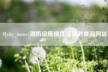 惠州消防设施操作员证书查询网址