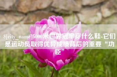 惠州5000米世界冠军穿什么鞋-它们是运动员取得优异成绩背后的重要“功臣”