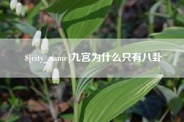 惠州九宫为什么只有八卦