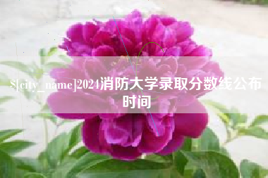 惠州2024消防大学录取分数线公布时间