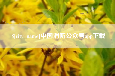 惠州中国消防公众号app下载