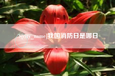 惠州我国消防日是哪日