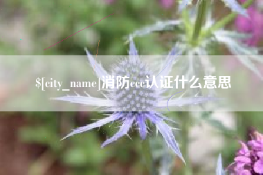 惠州消防ccc认证什么意思