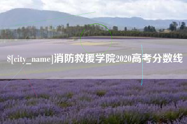 惠州消防救援学院2020高考分数线