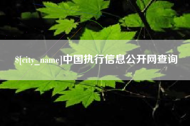 惠州中国执行信息公开网查询