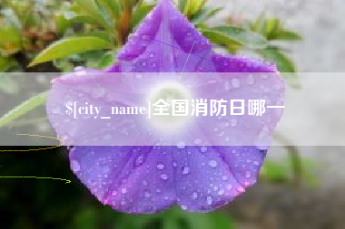 惠州全国消防日哪一