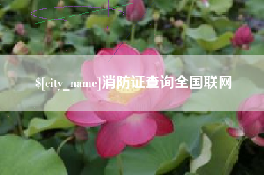 惠州消防证查询全国联网
