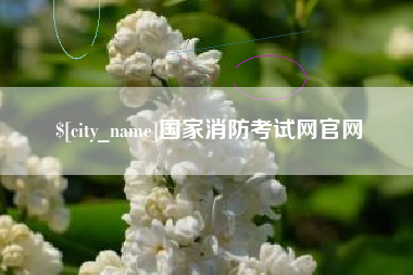 惠州国家消防考试网官网