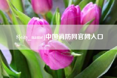 惠州中国消防网官网入口