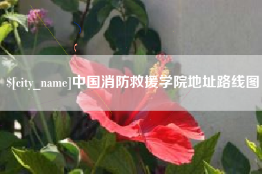 惠州中国消防救援学院地址路线图