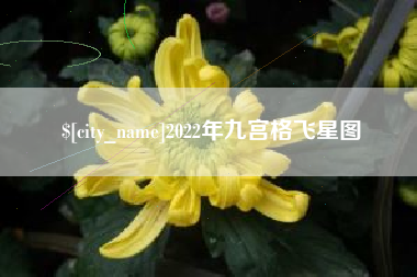 惠州2022年九宫格飞星图