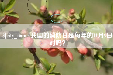 惠州我国的消防日是每年的11月9日对吗？