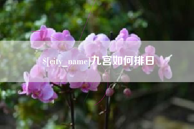 惠州九宫如何排日