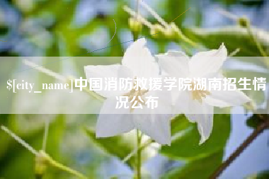 惠州中国消防救援学院湖南招生情况公布