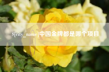 惠州中国金牌都是哪个项目