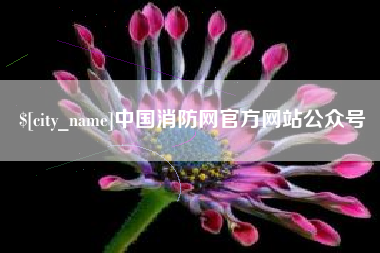 惠州中国消防网官方网站公众号