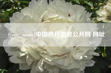 惠州中国执行信息公开网 网址