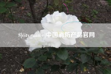 惠州中国消防产品官网