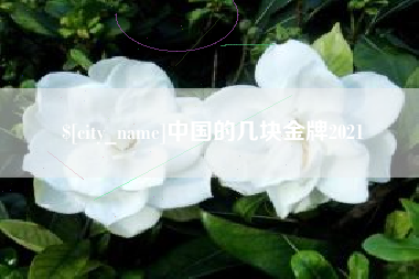 惠州中国的几块金牌2021