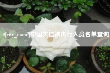 惠州中国失信被执行人员名单查询