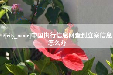 惠州中国执行信息网查到立案信息怎么办