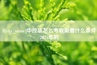 惠州中控证怎么考取需要什么条件2024年的