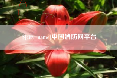 惠州中国消防网平台