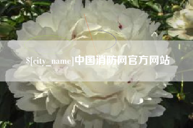 惠州中国消防网官方网站