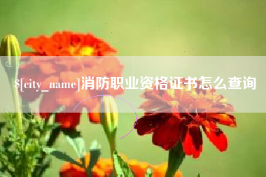 惠州消防职业资格证书怎么查询