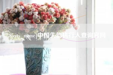 惠州中国失信执行人查询官网