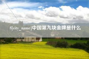 惠州中国第九块金牌是什么