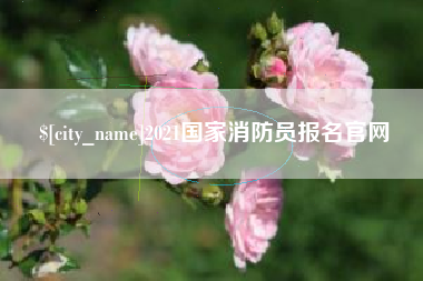 惠州2021国家消防员报名官网