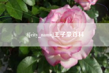 惠州王子豪百科