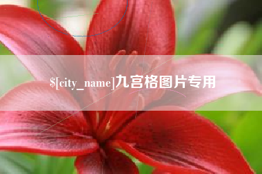 惠州九宫格图片专用