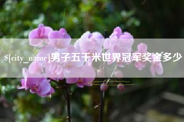 惠州男子五千米世界冠军奖金多少