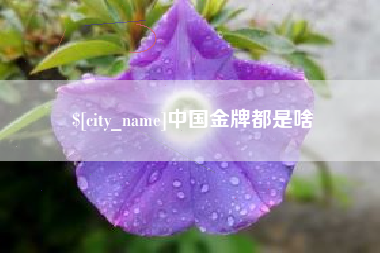 惠州中国金牌都是啥