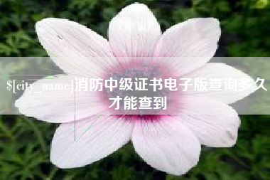 惠州消防中级证书电子版查询多久才能查到