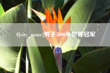 惠州男子5000米世界冠军