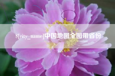 惠州中国地图全图带省份