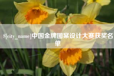 惠州中国金牌图案设计大赛获奖名单
