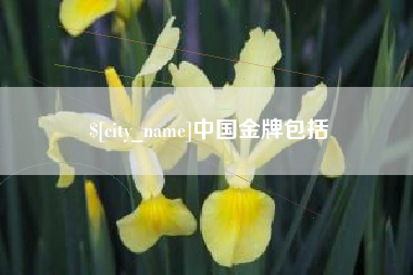 惠州中国金牌包括